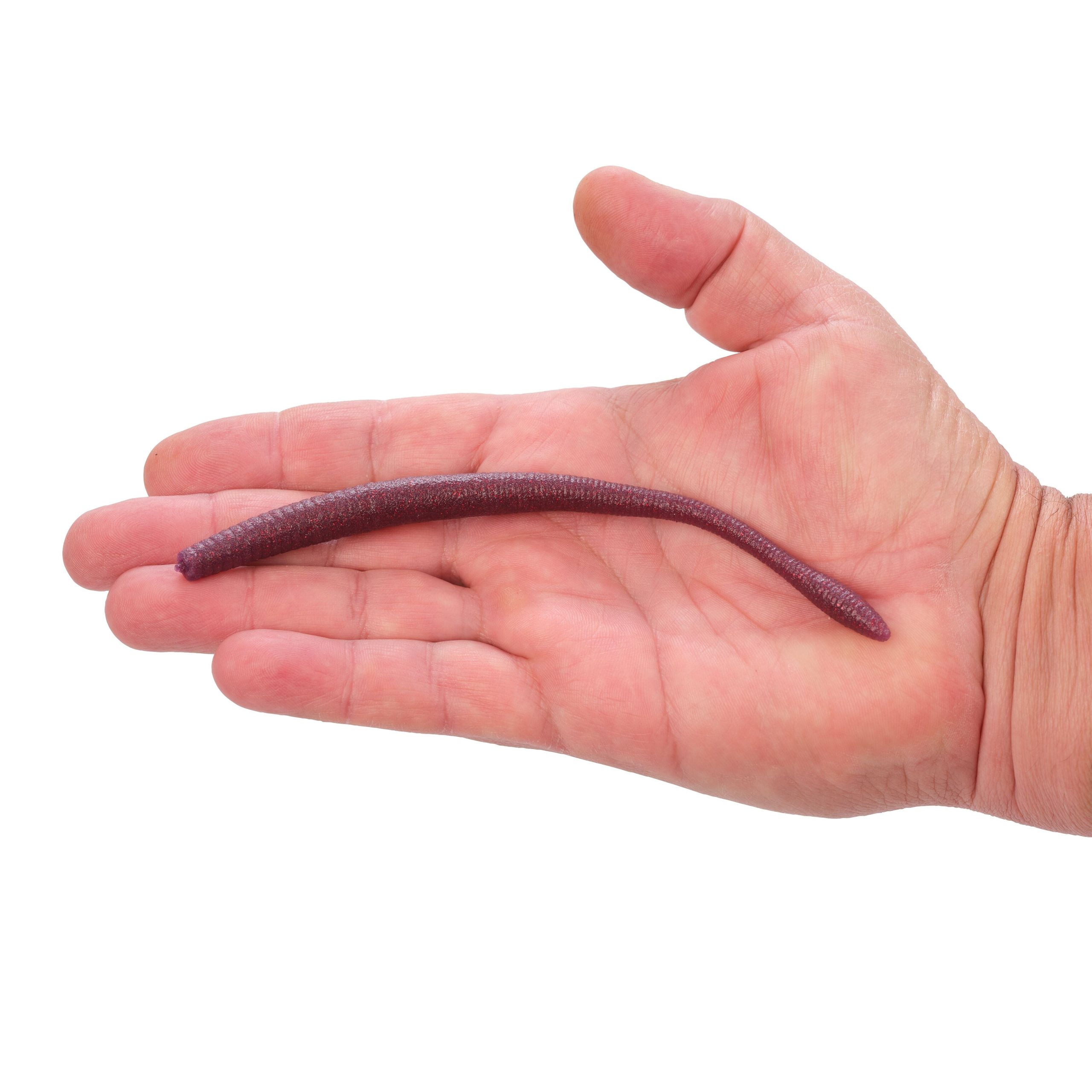 PowerBait® MaxScent Hit Worm Magnum - Image 20