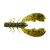 Summer Craw
