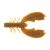 Alabama Craw