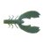 Okeechobee Craw