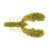 Summer Craw