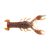 Rusty Craw