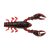 HD Red Craw