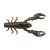 Yummy Craw