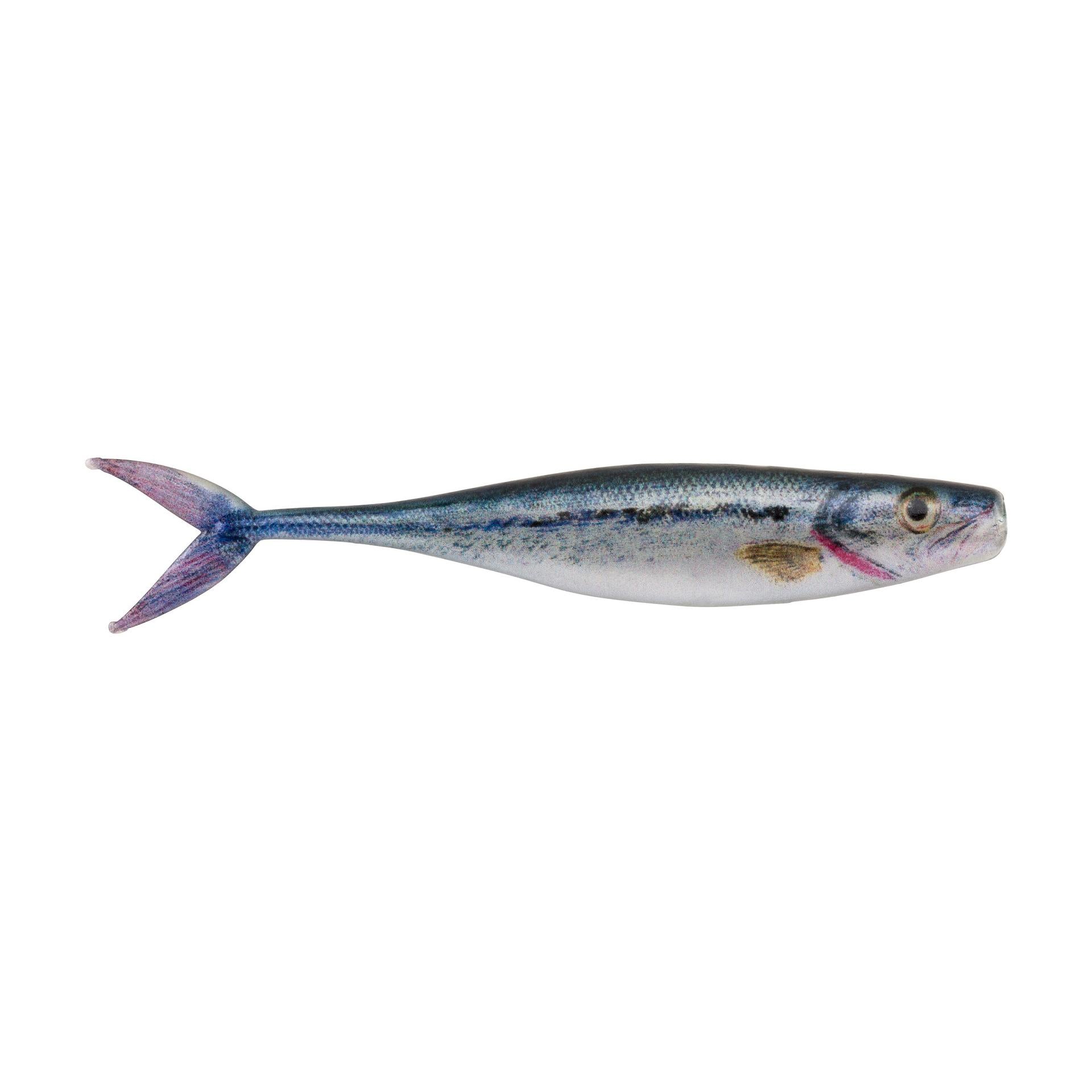 PowerBait® The Champ Minnow - Image 13