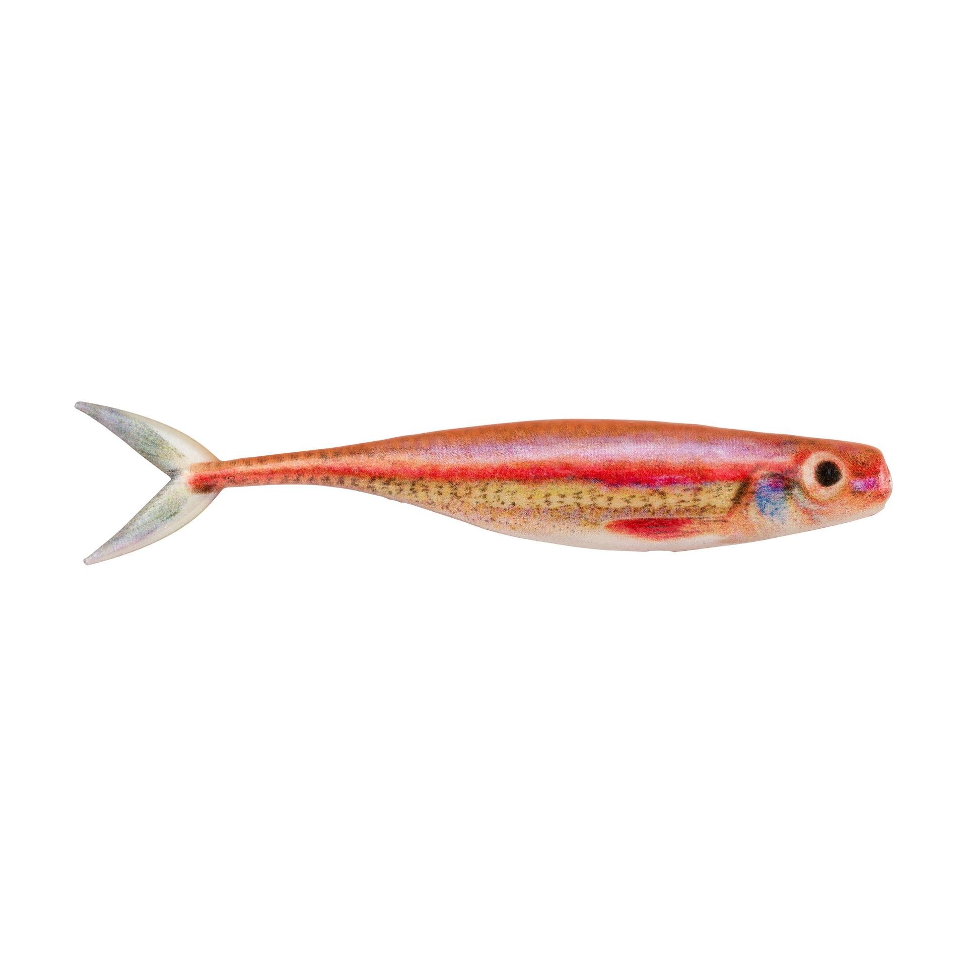 PowerBait® The Champ Minnow - Image 21