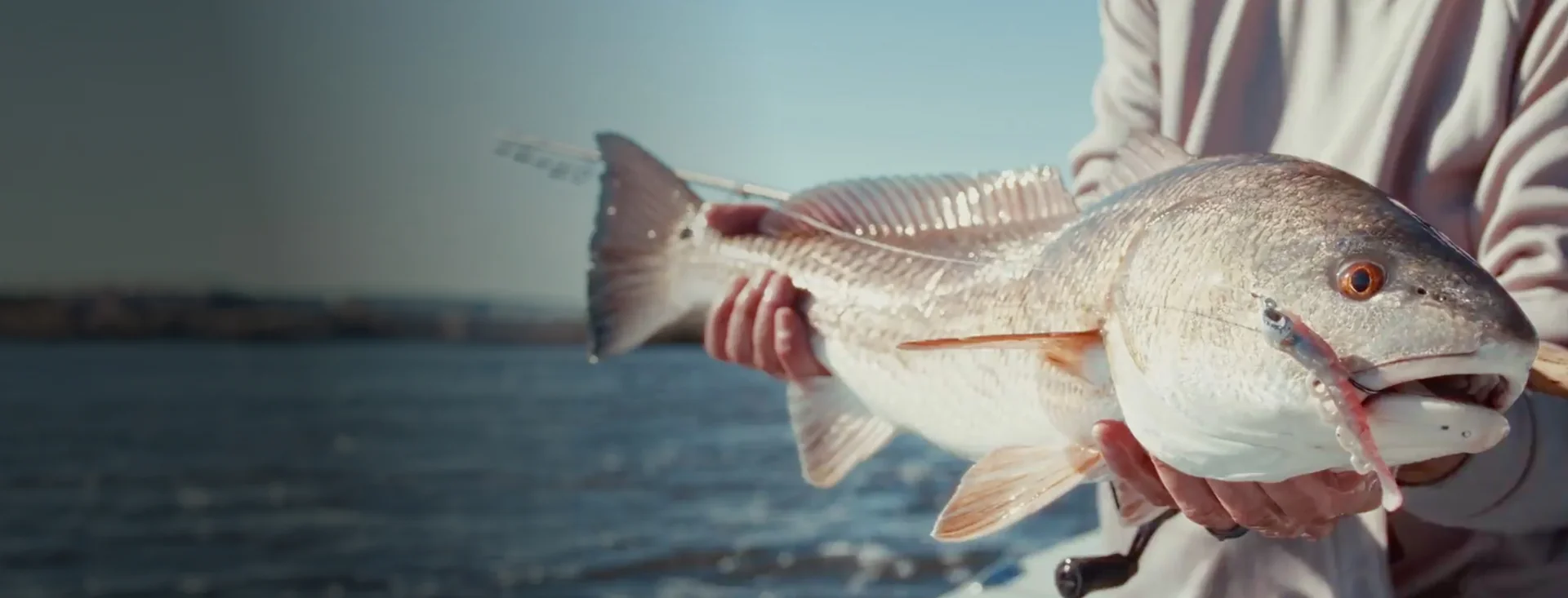 Angler holding a saltwater fish caught with a Berkley lure