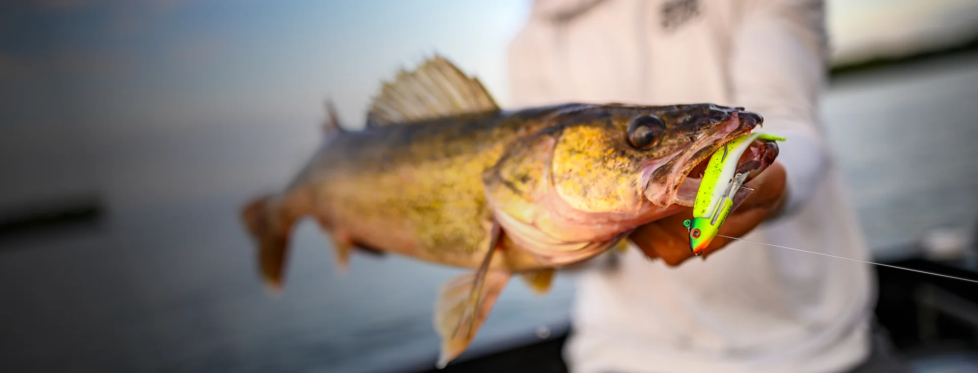 Berkley fishing lure and freshly caught fish